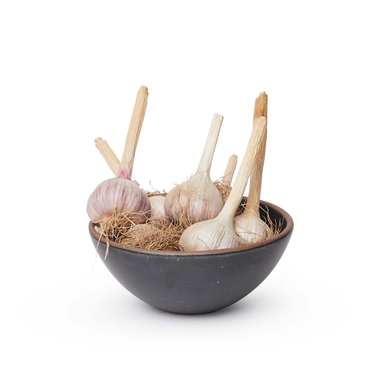 Graphite Heova soup bowl with garlic bulbs